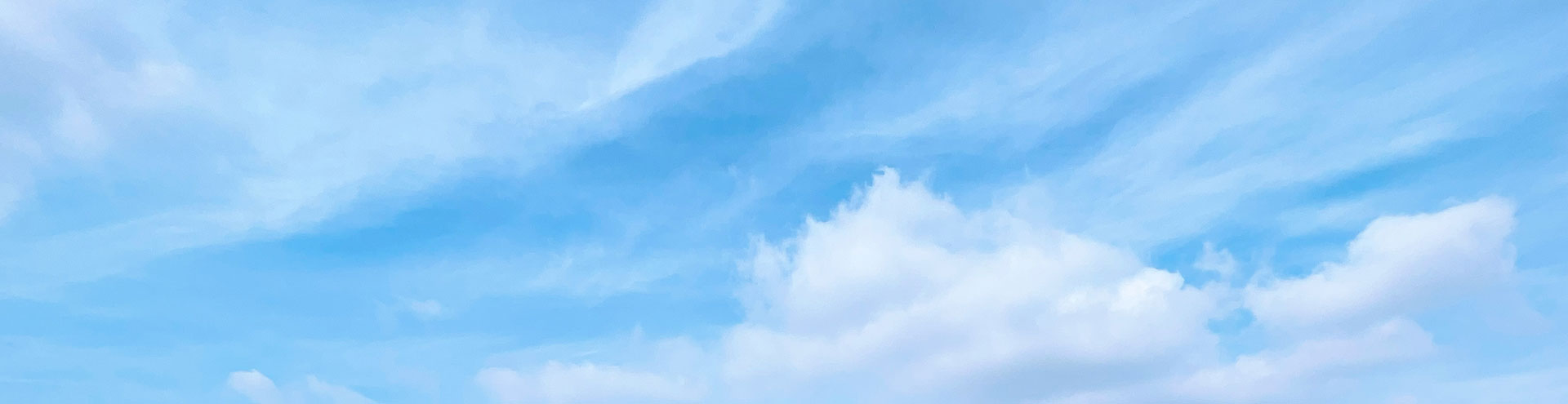 誠信、求是、敬業、致公